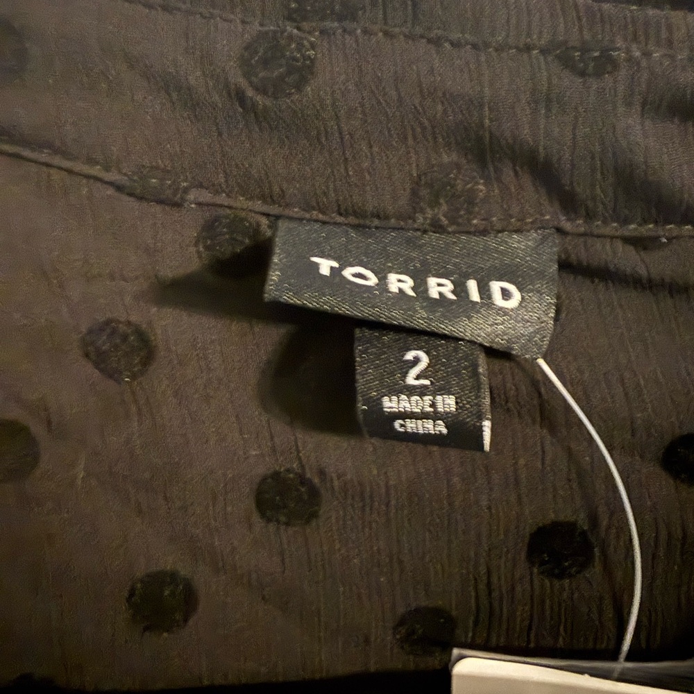 Torrid Black Sheer Polka Dot Blouse - Picture 2 of 6